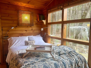 Private Mtn Love Shack w/ fast wifi, BBQ & view
